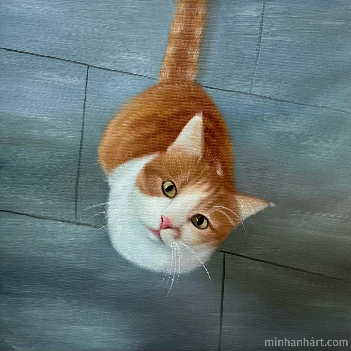A New Perspective – Cat Portrait That Looks Up at You
