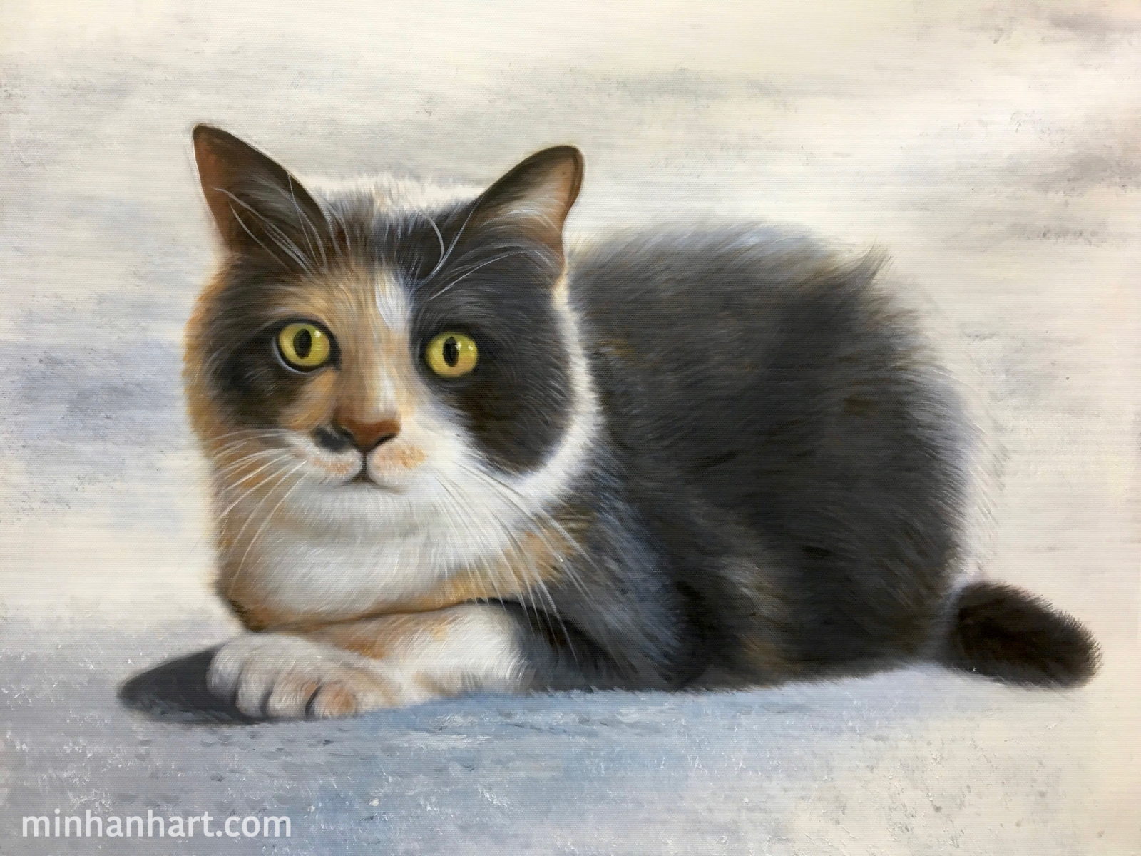 Elegance in Simplicity – A Calico Cat in Poise