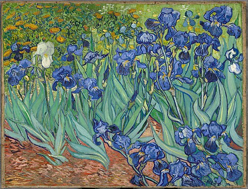 Irises incent_van_Gogh