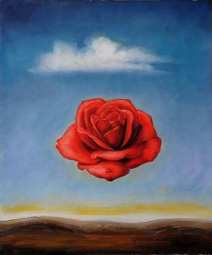 Meditative Rose - Dali