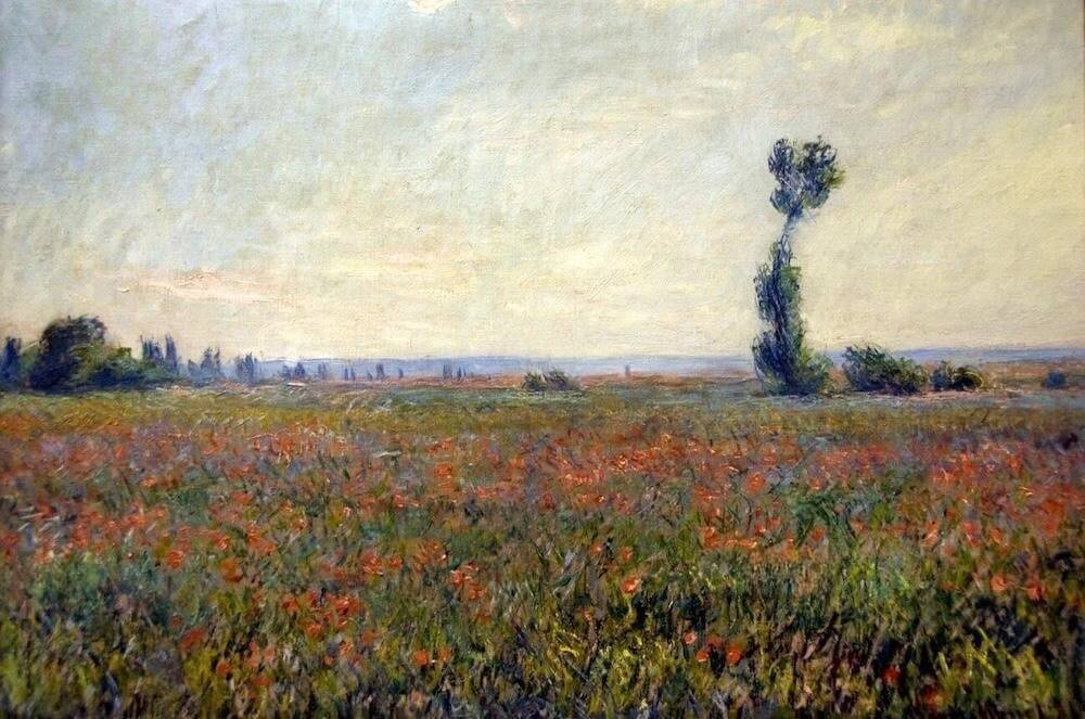 Poppy Field - Monet