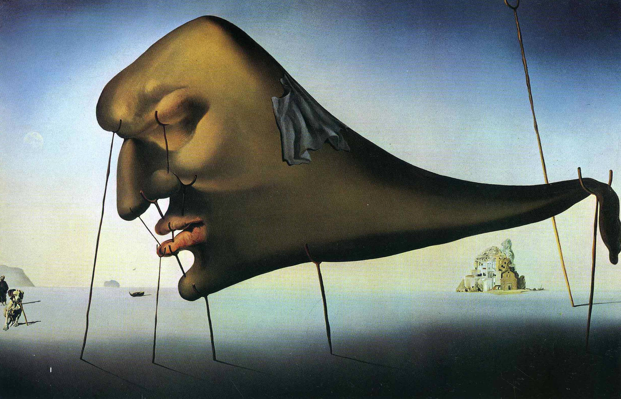 Ngủ Dali