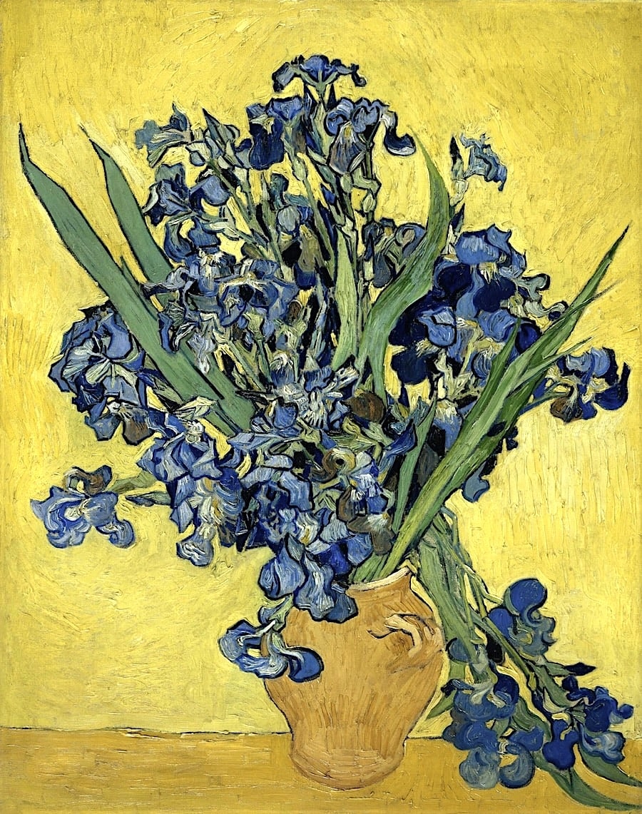 tĩnh vật với hoa diên vĩ Vincent van Gogh