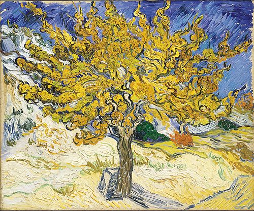 Cây dâu tằm của Van Gogh