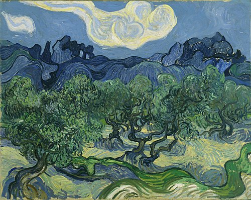Những cây ô liu của Van Gogh