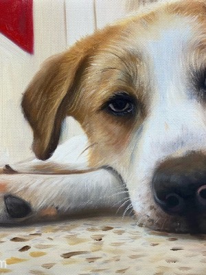 Close-Up Dog Portrait in Oil – Capturing Stillness, Soul, and Sentiment