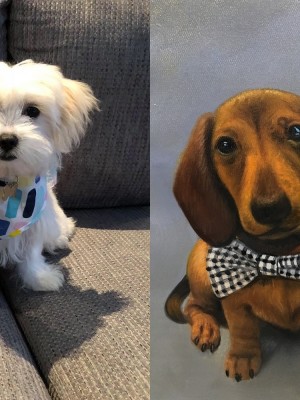 Custom Dog Portraits in Oil – Preserve Your Pet’s Personality Forever