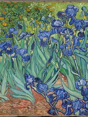 Irises incent_van_Gogh