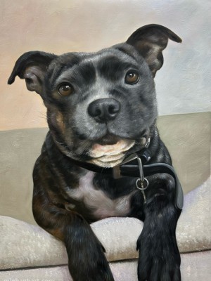 Chân dung sơn dầu của Staffordshire Bull Terrier – Táo bạo, trung thành và đầy cá tính
