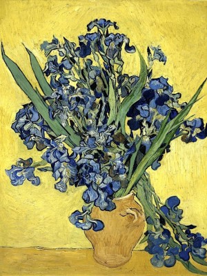 tĩnh vật với hoa diên vĩ Vincent van Gogh