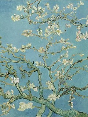 Hoa hạnh nhân của Vincent van Gogh